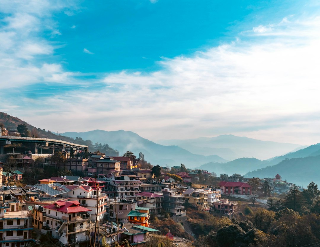 Shimla heritage estate